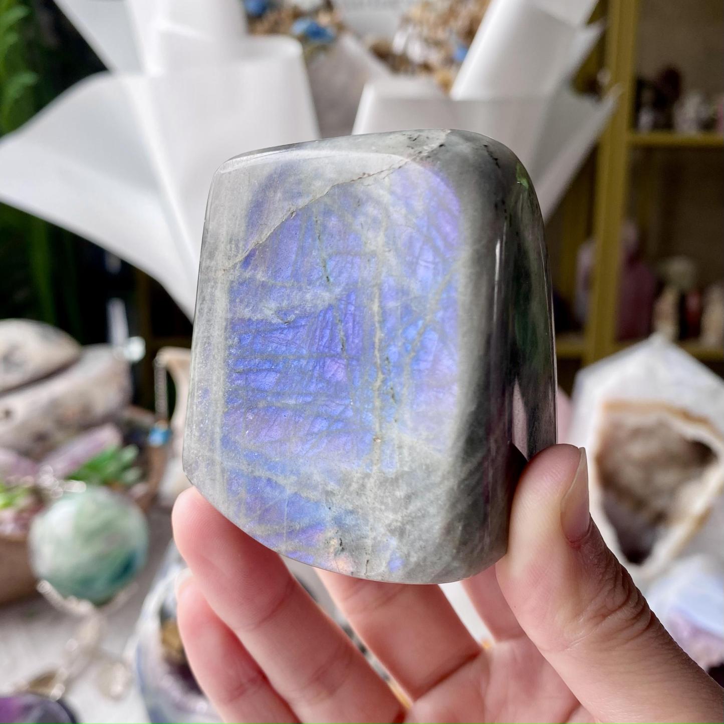 【Weekly Flash Deals】Labradorite Free Form