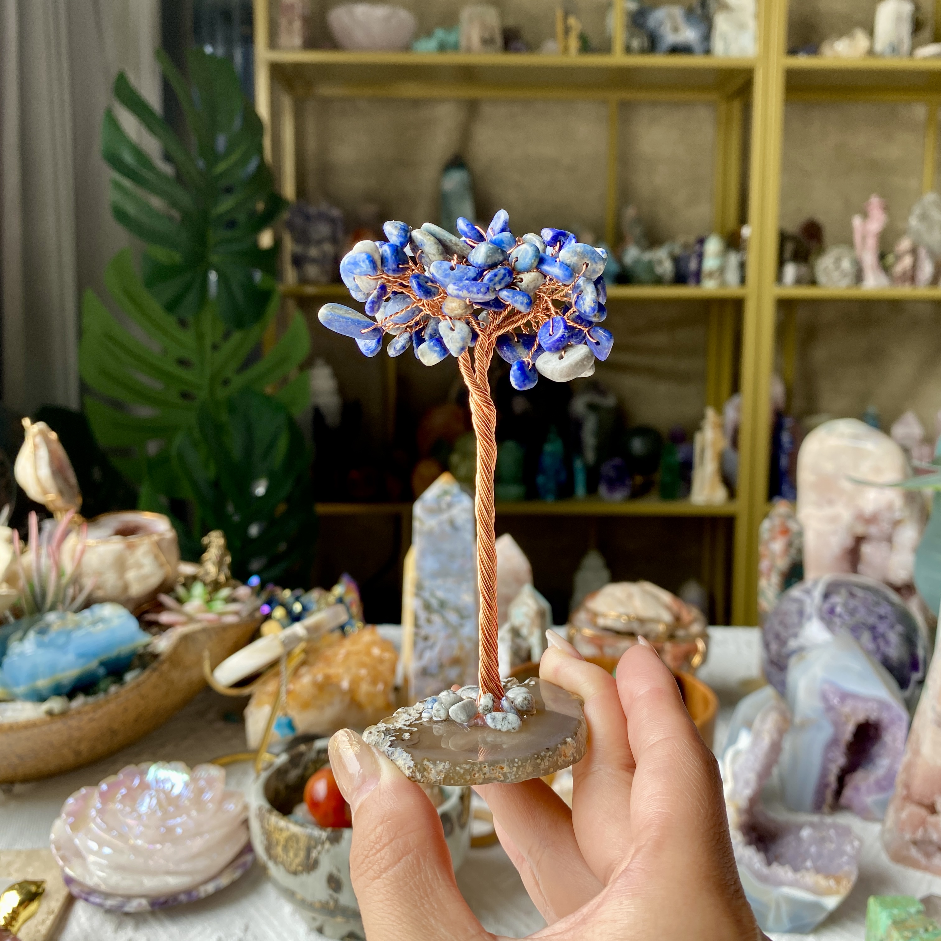 【Weekly Flash Deals】Carving 2