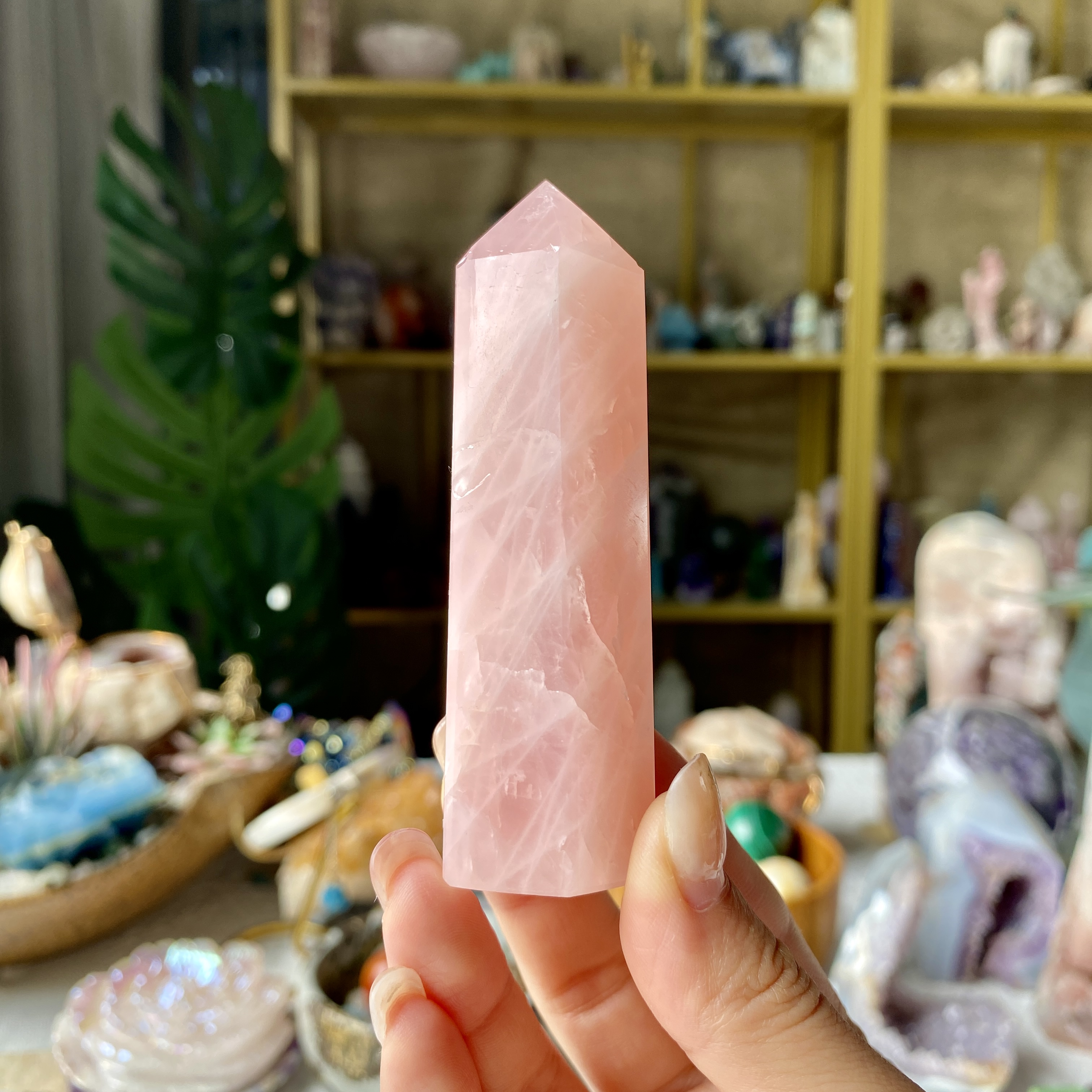 【Weekly Flash Deals】Carving 2