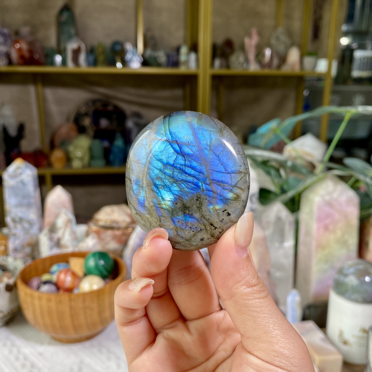 【Weekly Flash Deals】Carving 3