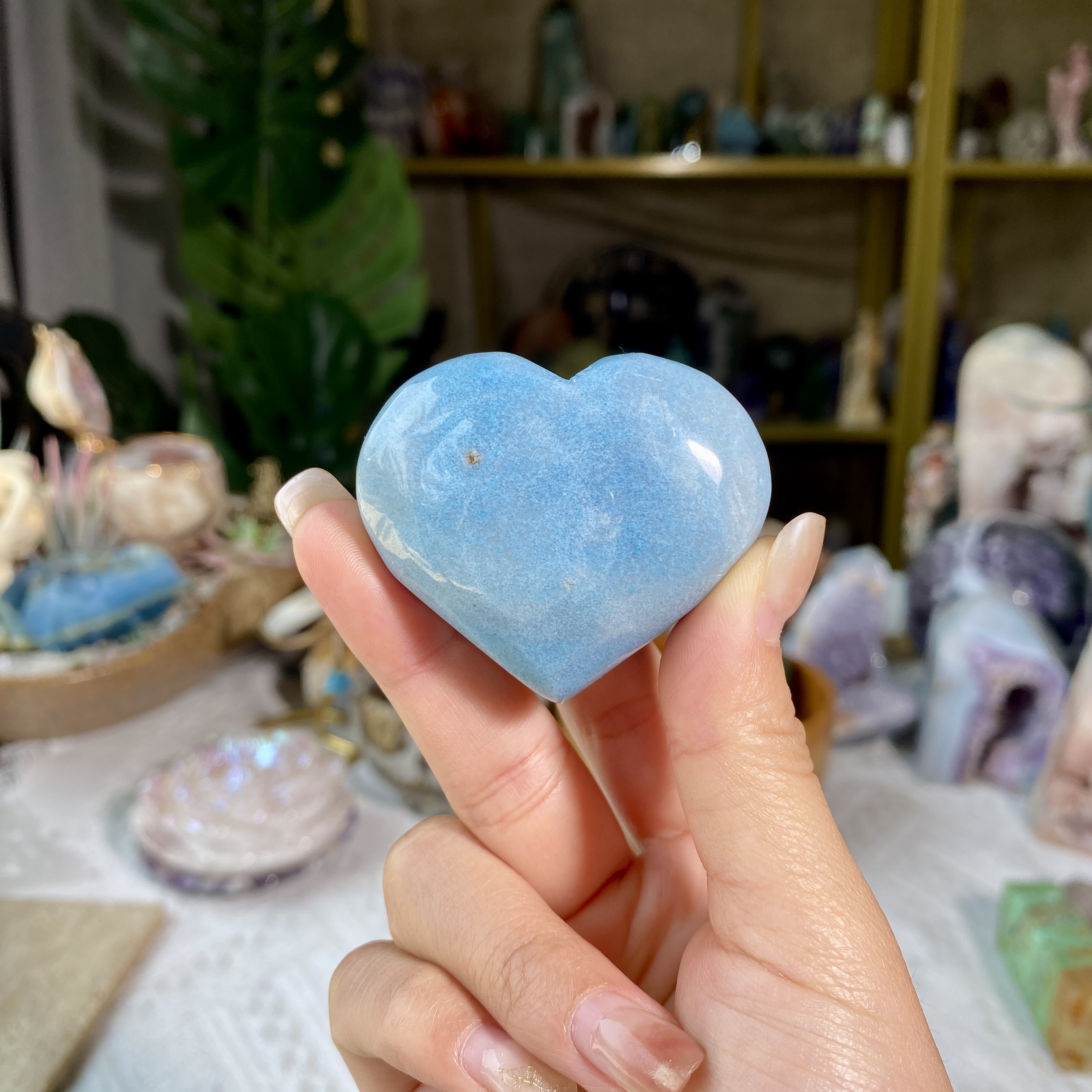 【Weekly Flash Deals】Carving 4