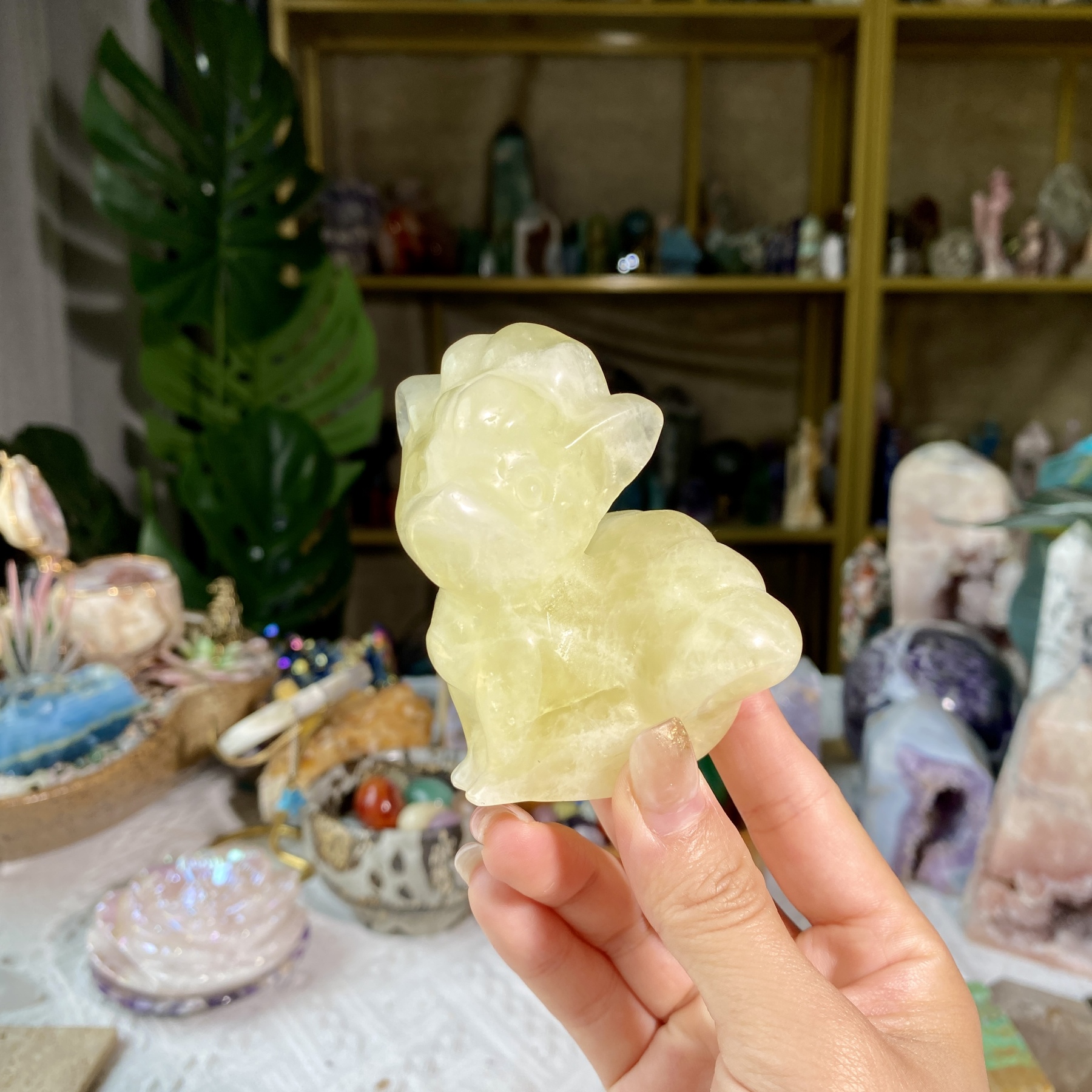 【Weekly Flash Deals】Carving 4