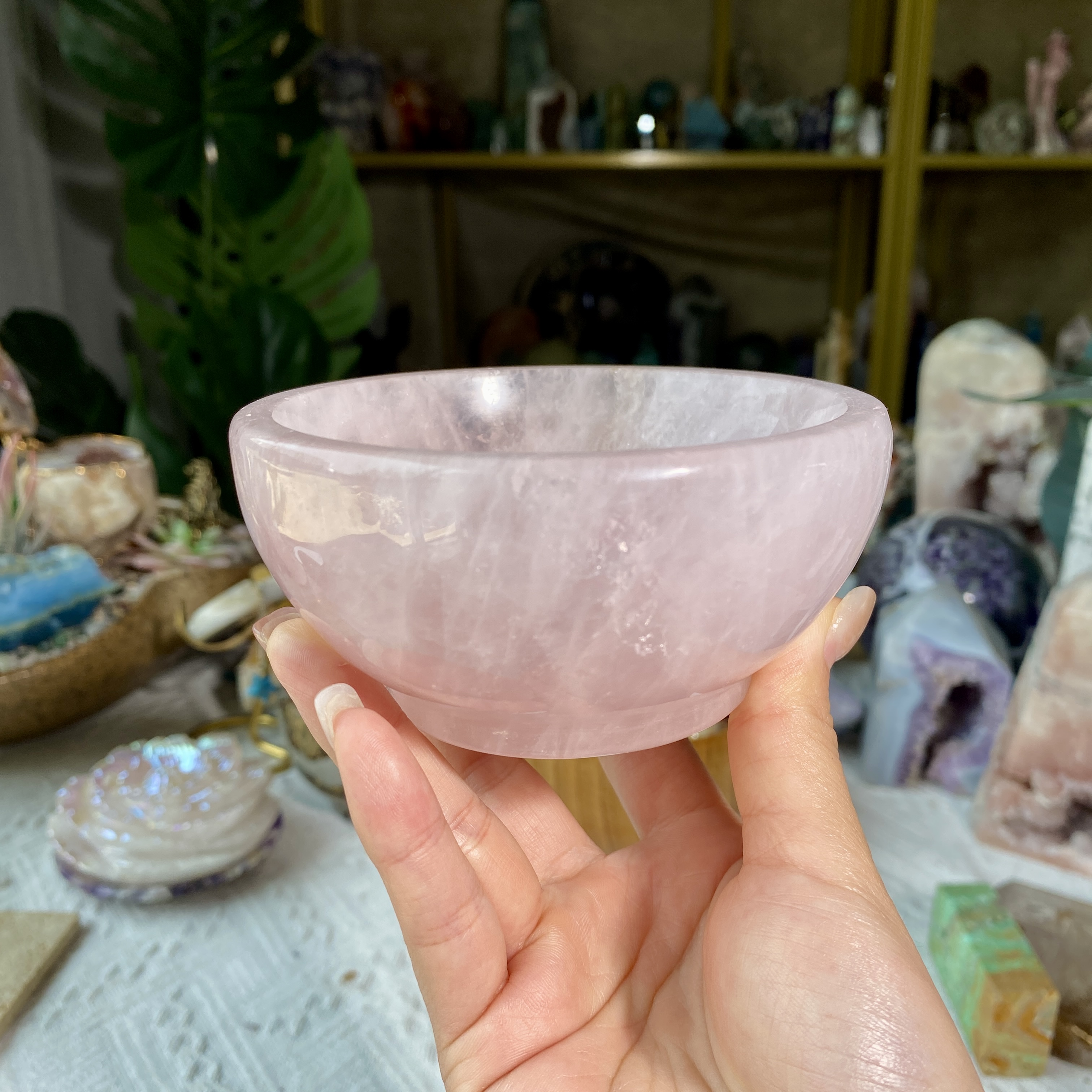 【Weekly Flash Deals】Carving 4