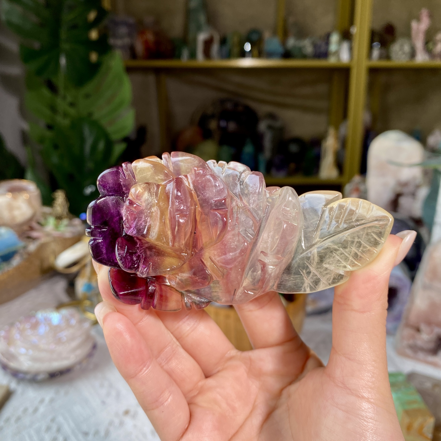 【Weekly Flash Deals】Carving 4