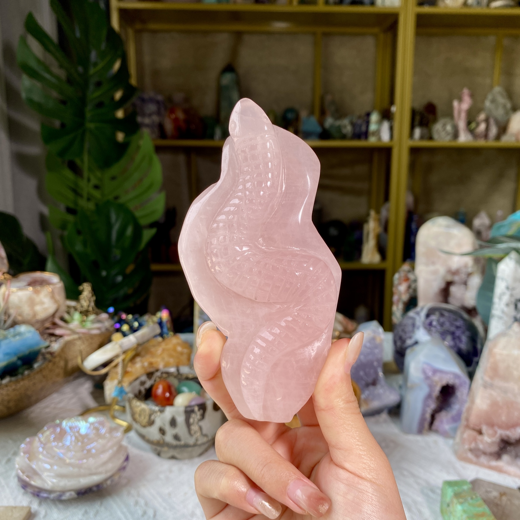 【Weekly Flash Deals】Carving 4