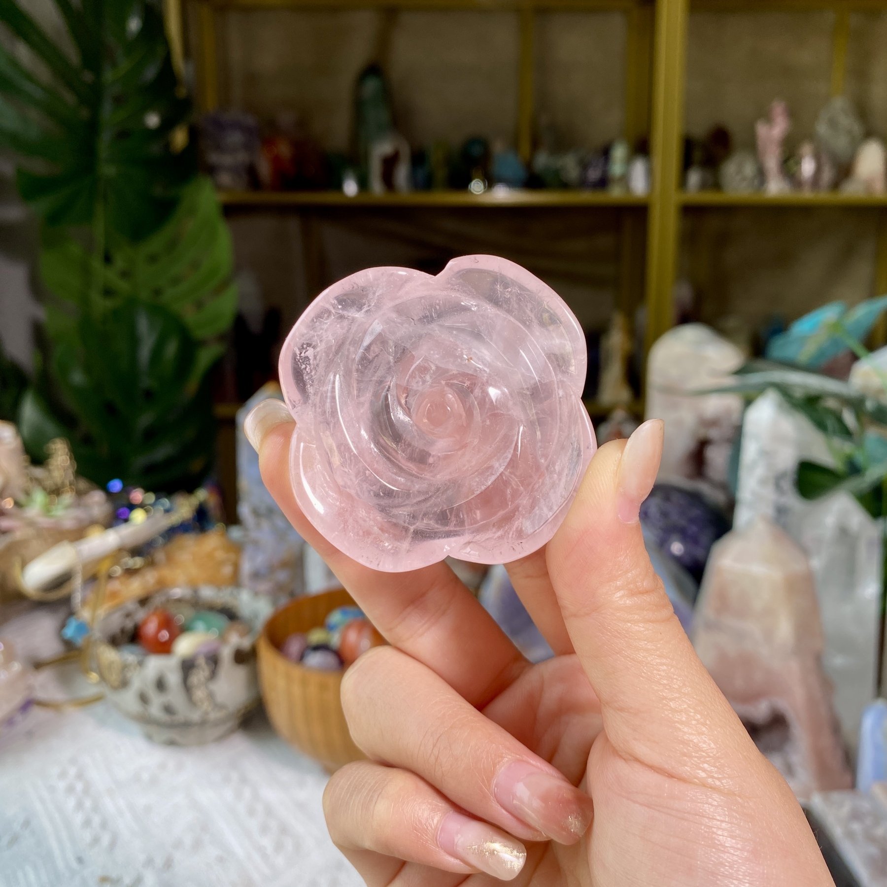 【Weekly Flash Deals】Carving 5