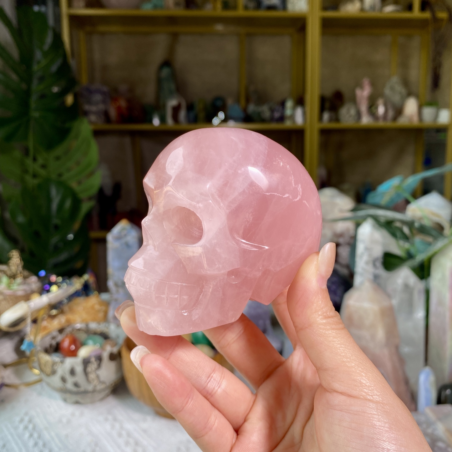 【Weekly Flash Deals】Carving 5