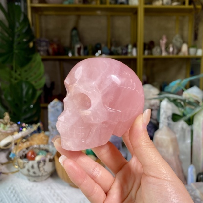 【Weekly Flash Deals】Carving 5