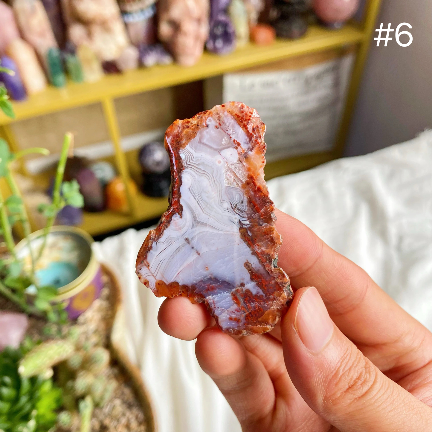 【Weekly Flash Deals】Colourful Agate Slice