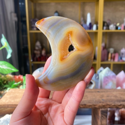 【Weekly Flash Deals】Carving 100