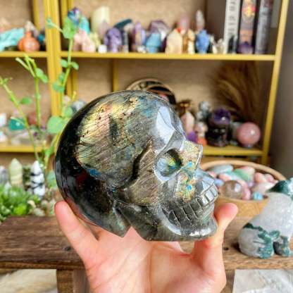 【Weekly Flash Deals】Carving 59