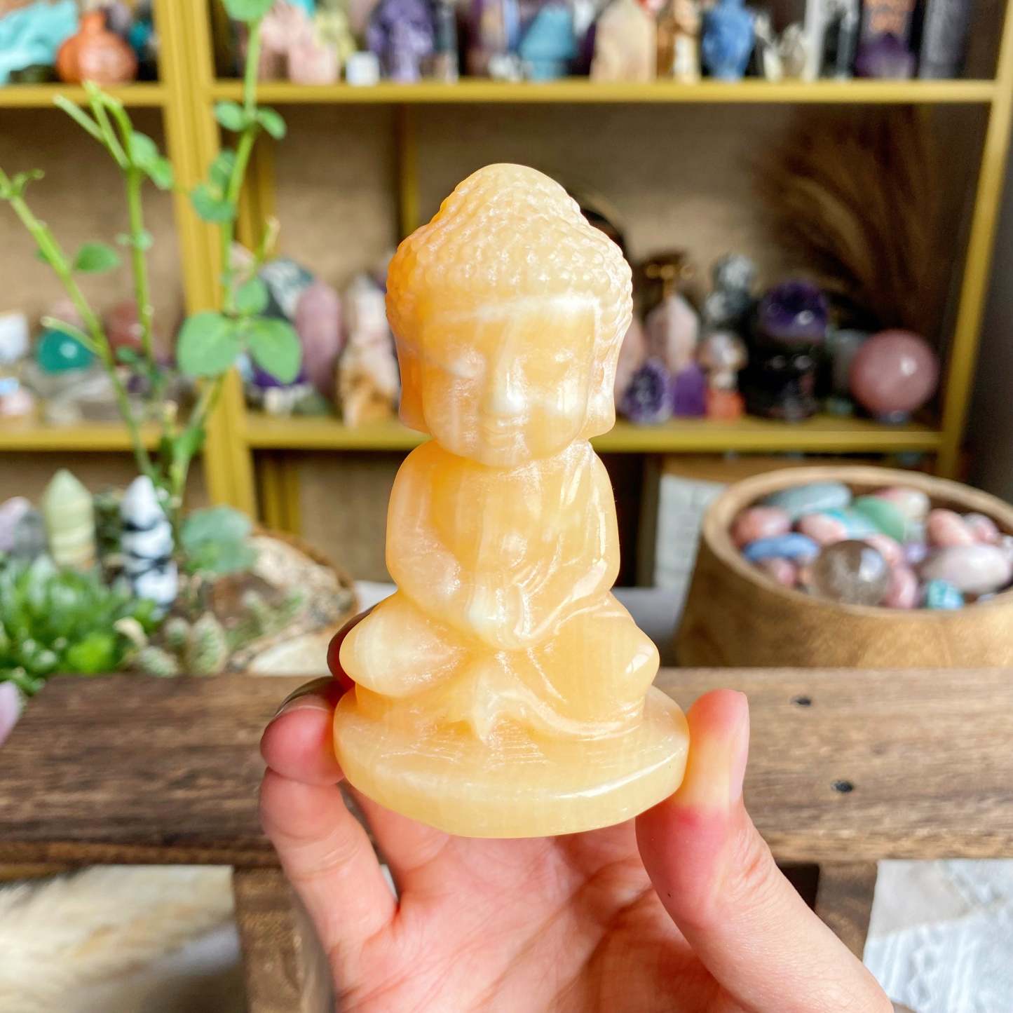 【Weekly Flash Deals】Carving 59