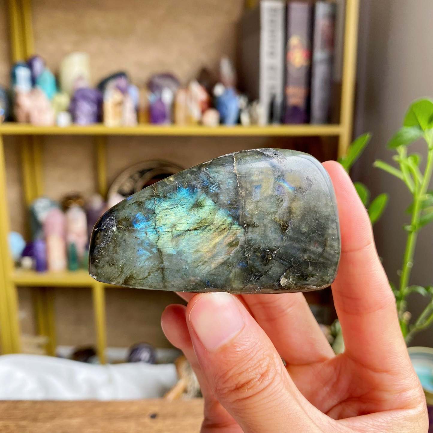 【Weekly Flash Deals】Labradorite Free Form 2