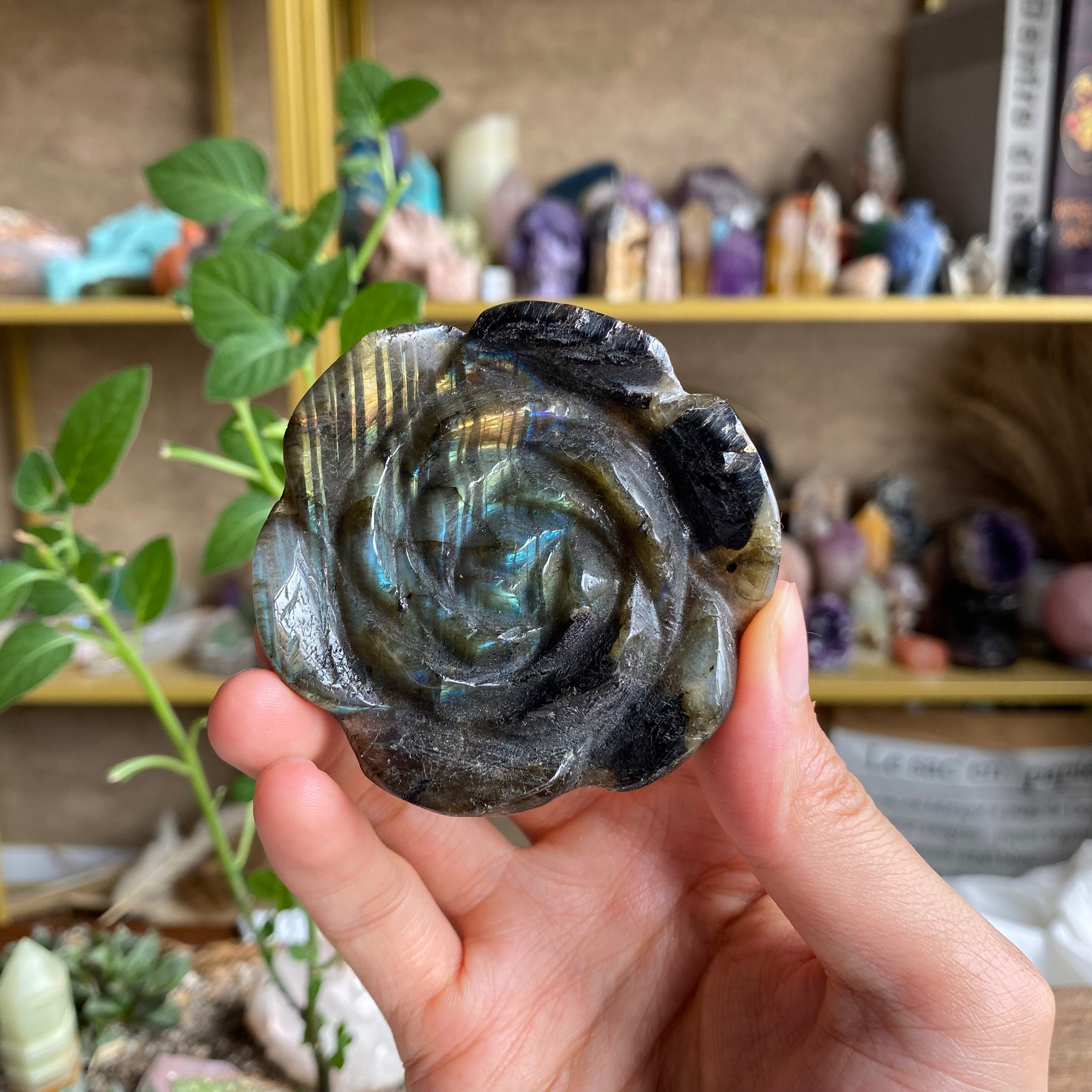 【Weekly Flash Deals】Carving 66