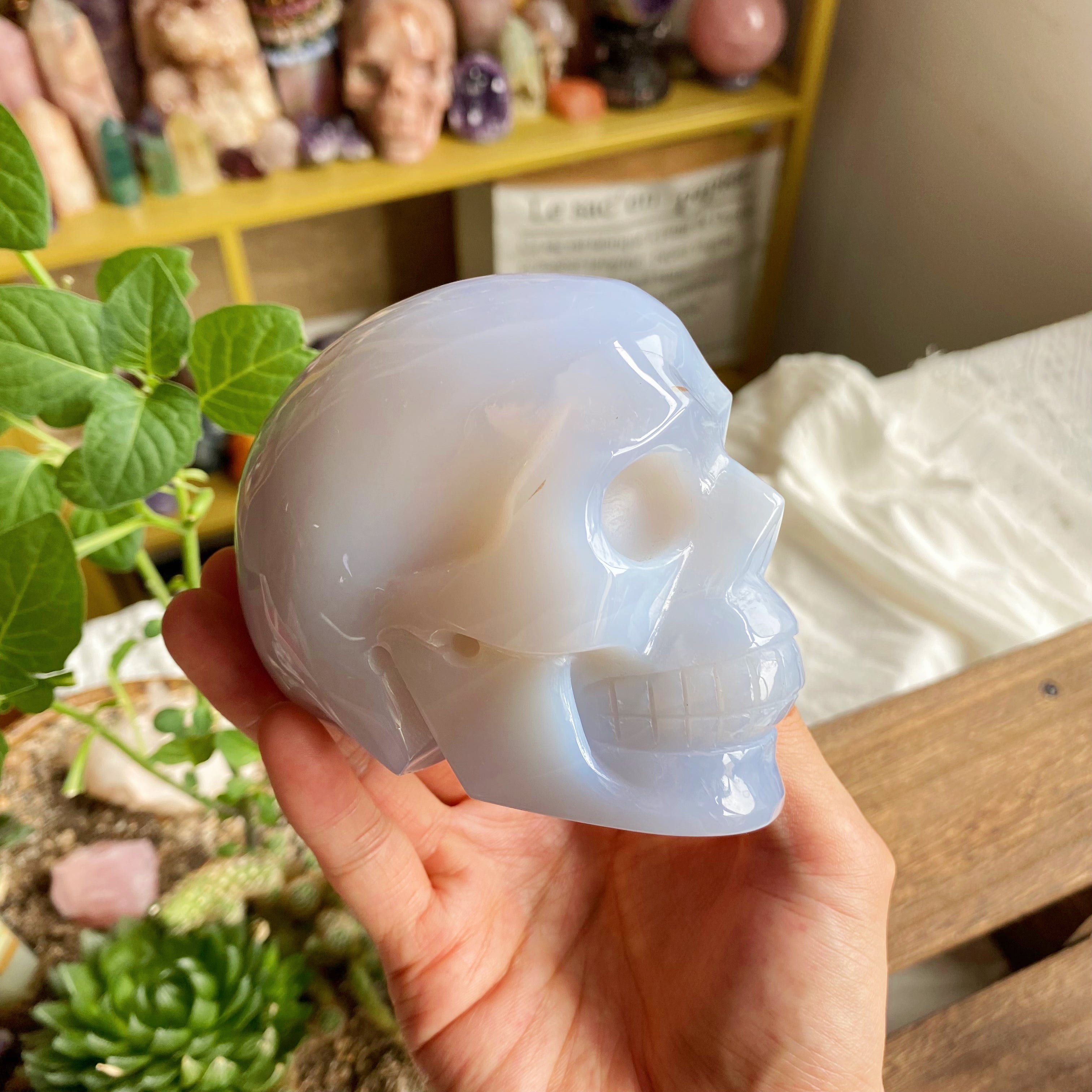 【Weekly Flash Deals】Carving 67