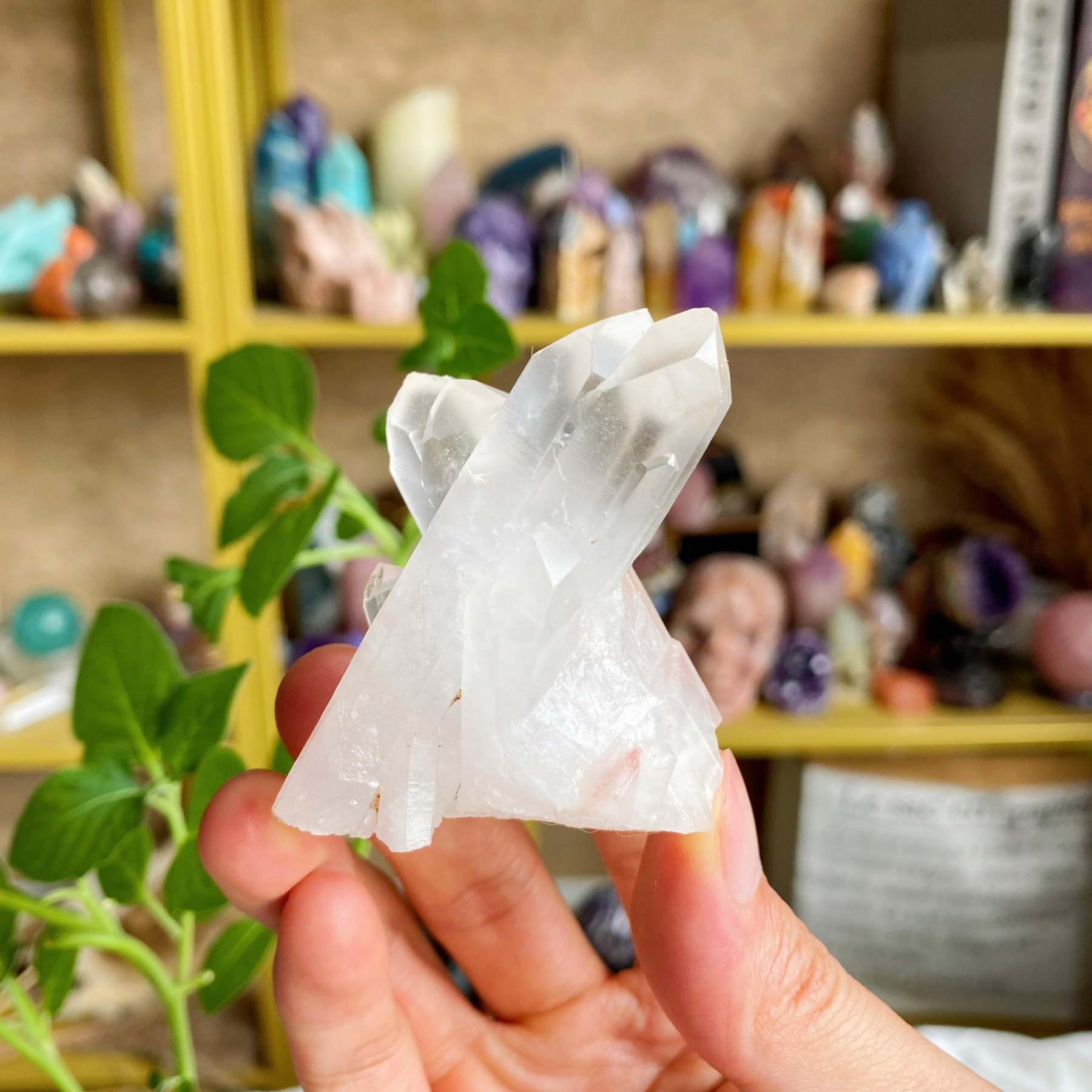 【Weekly Flash Deals】Clear Quartz Cluster 3