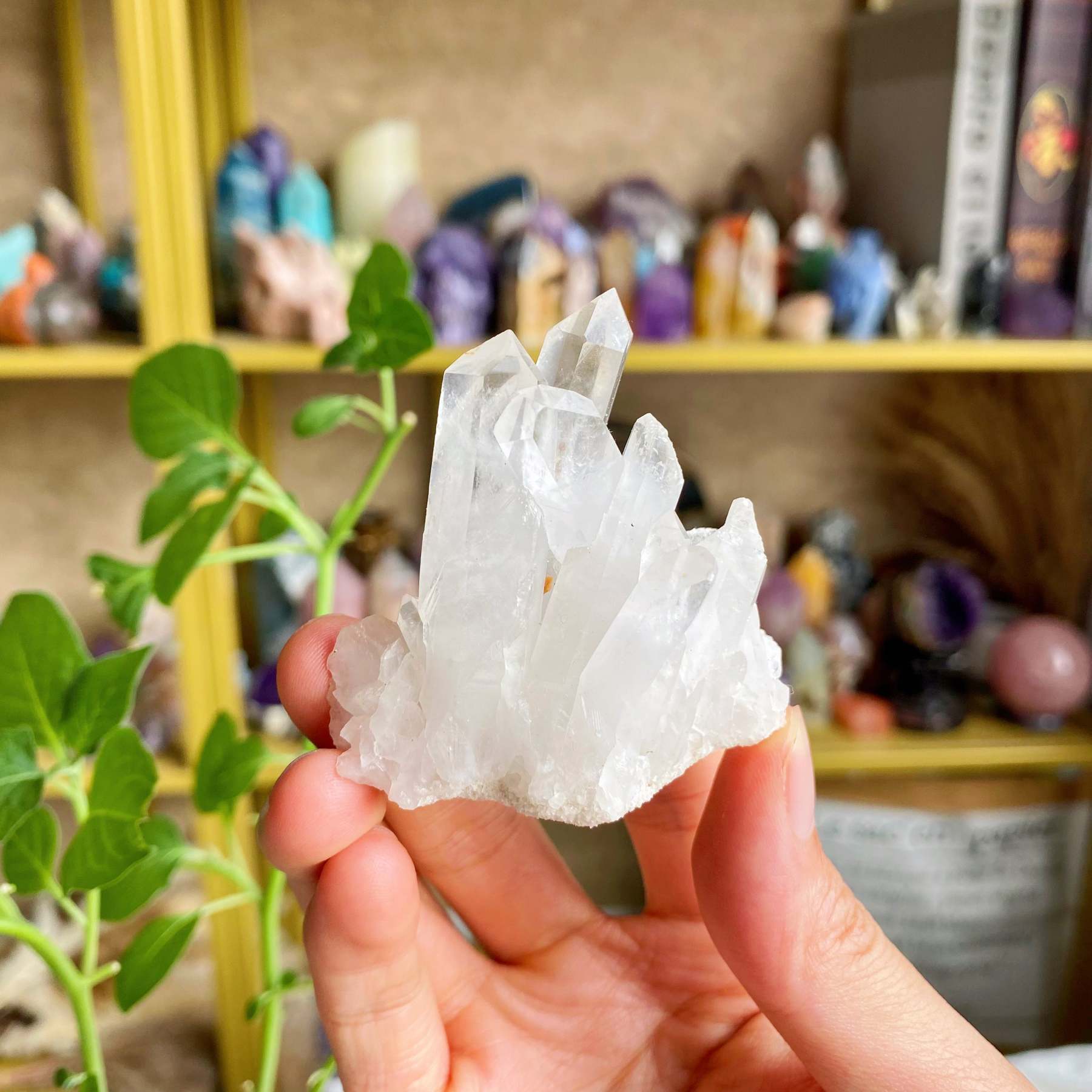 【Weekly Flash Deals】Clear Quartz Cluster 3
