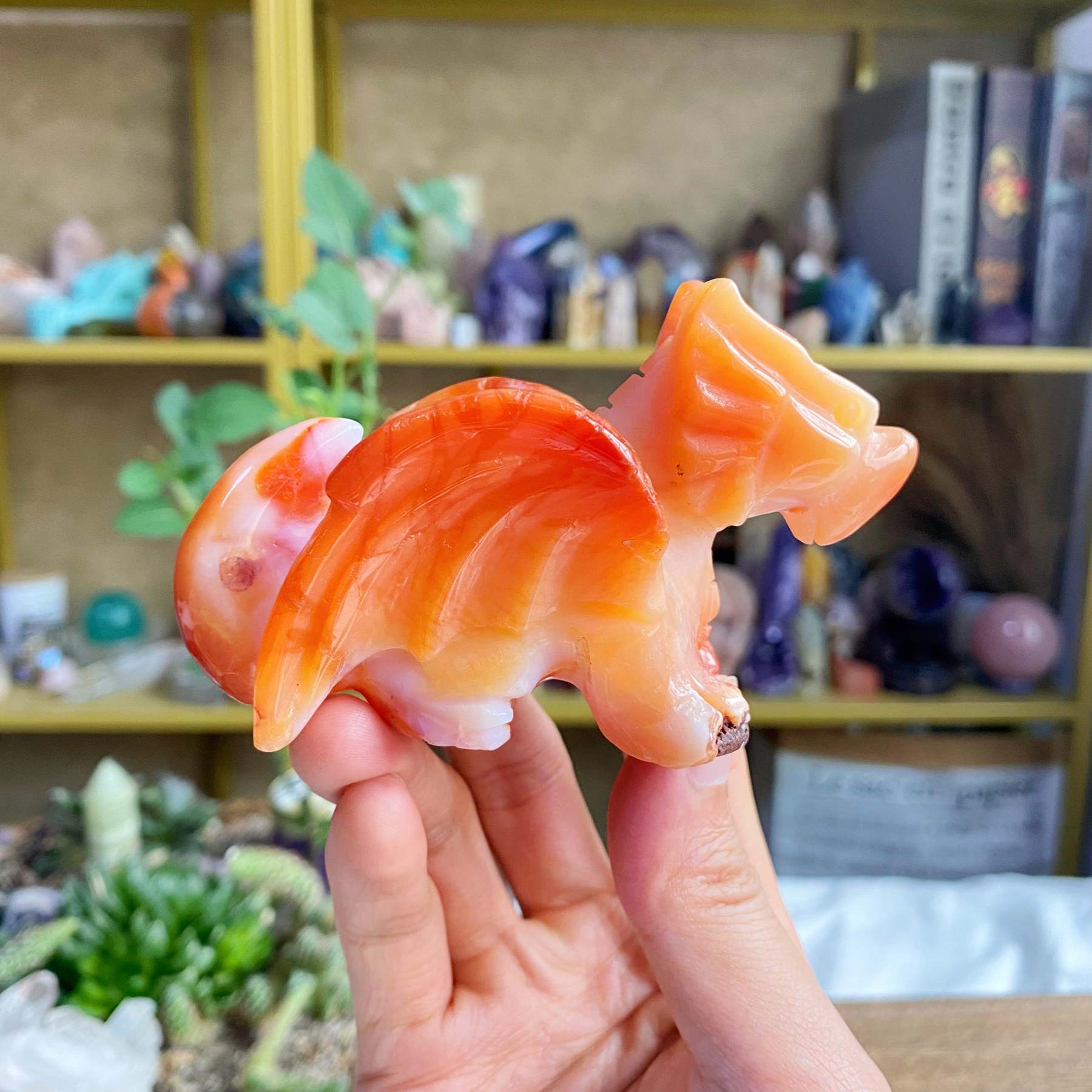 【Weekly Flash Deals】Carving 69