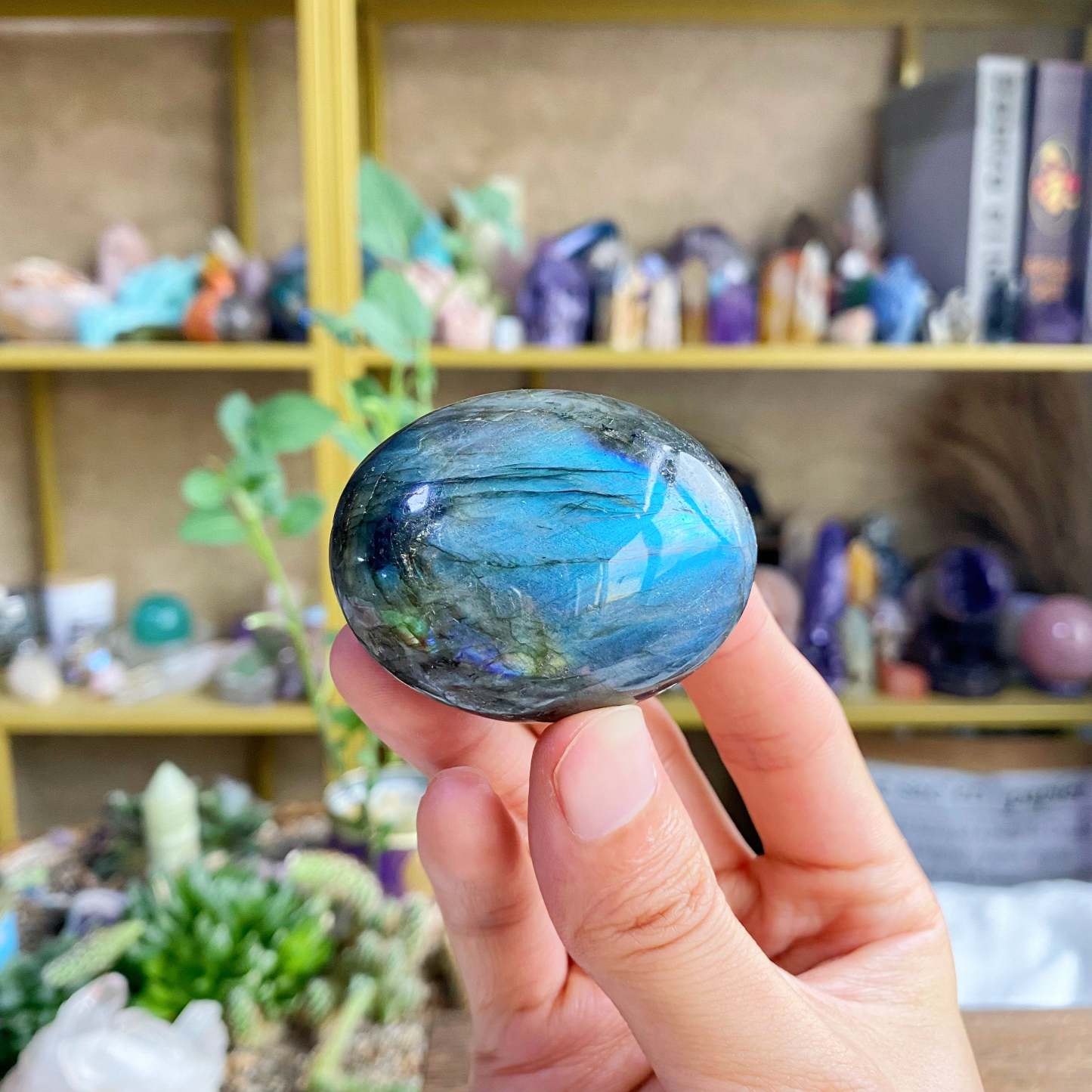 【Weekly Flash Deals】Carving 69