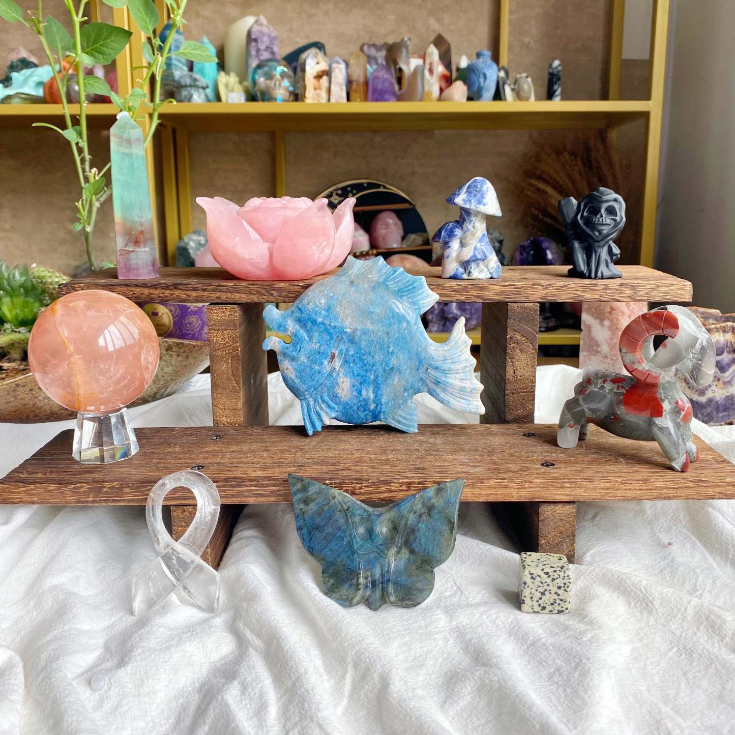 【Weekly Flash Deals】Carving 72