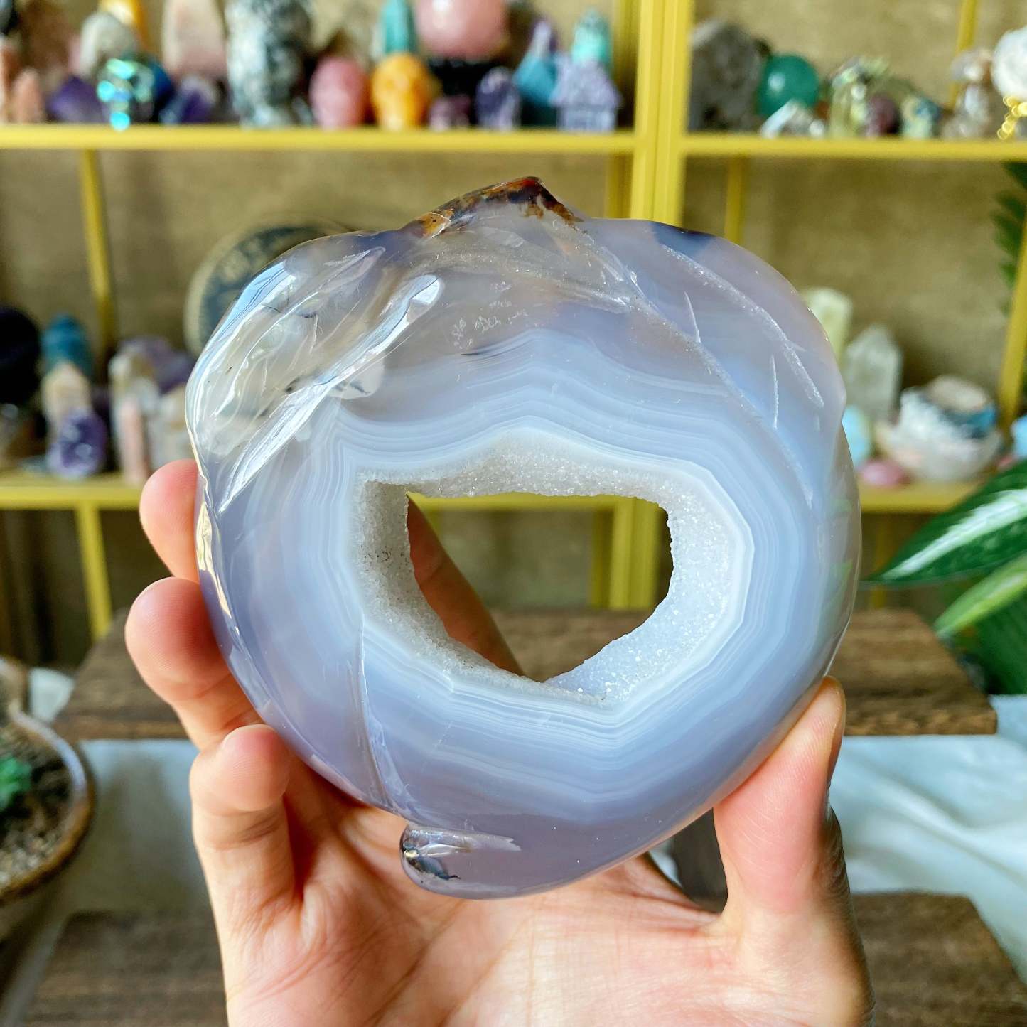 【Weekly Flash Deals】Carving 77