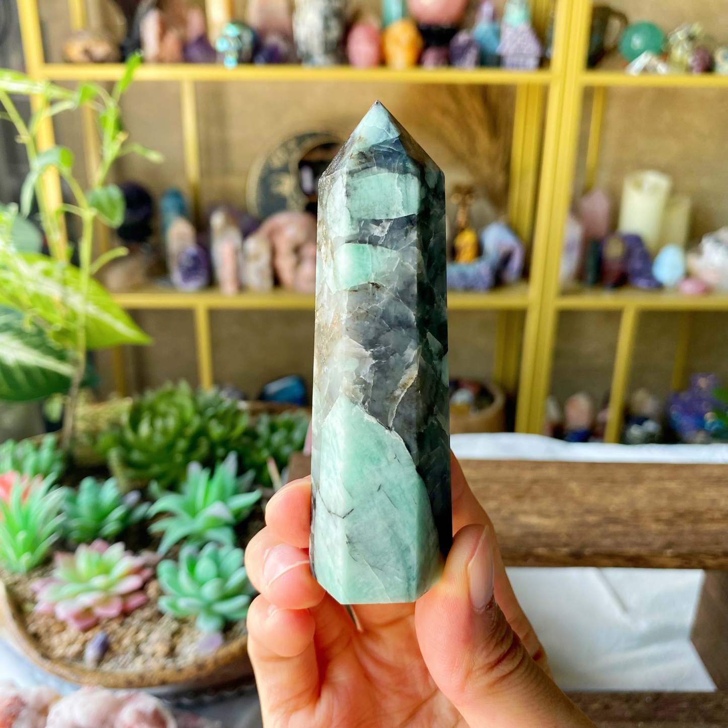 【Weekly Flash Deals】Carving 81