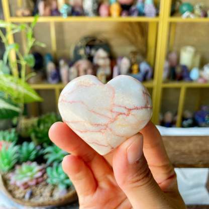 【Weekly Flash Deals】Carving 81