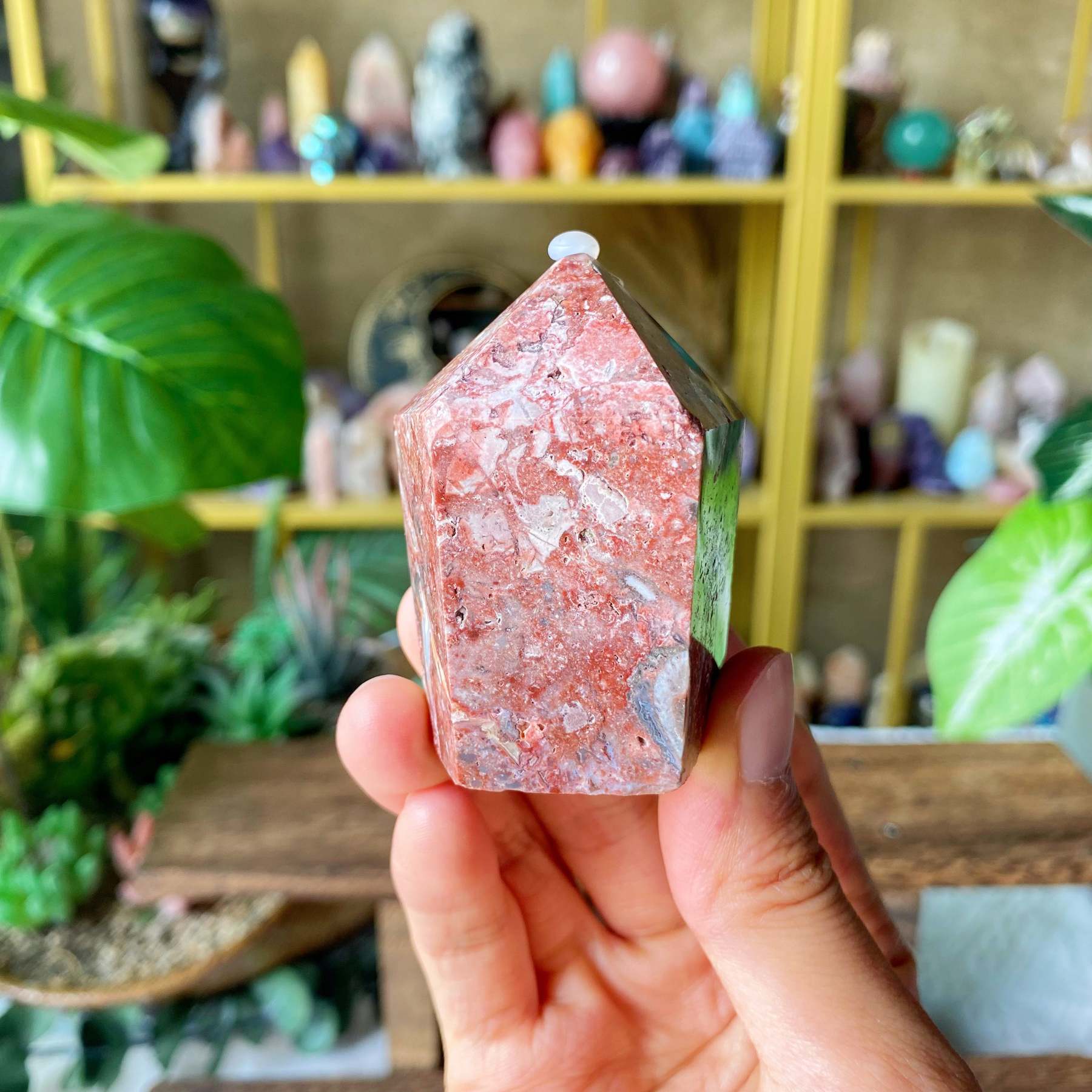 【Weekly Flash Deals】Carving 86