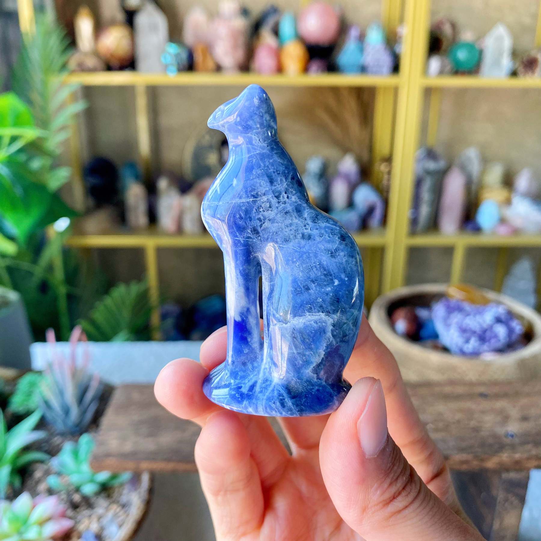 【Weekly Flash Deals】Carving 94