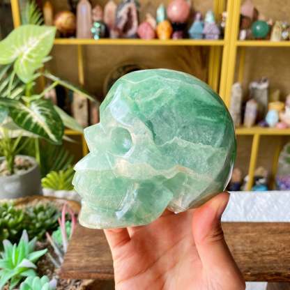 【Weekly Flash Deals】Carving 97