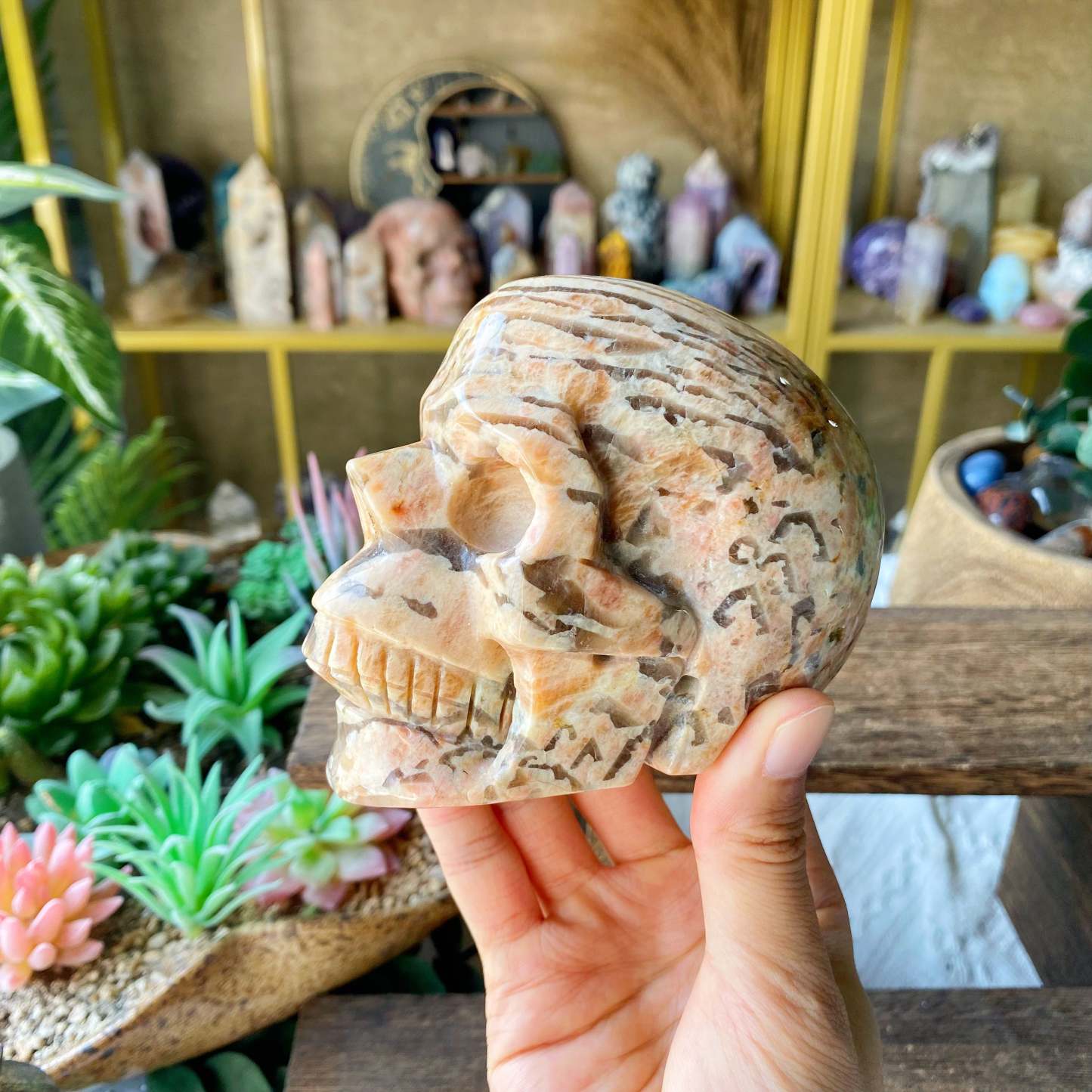 【Weekly Flash Deals】Carving 99