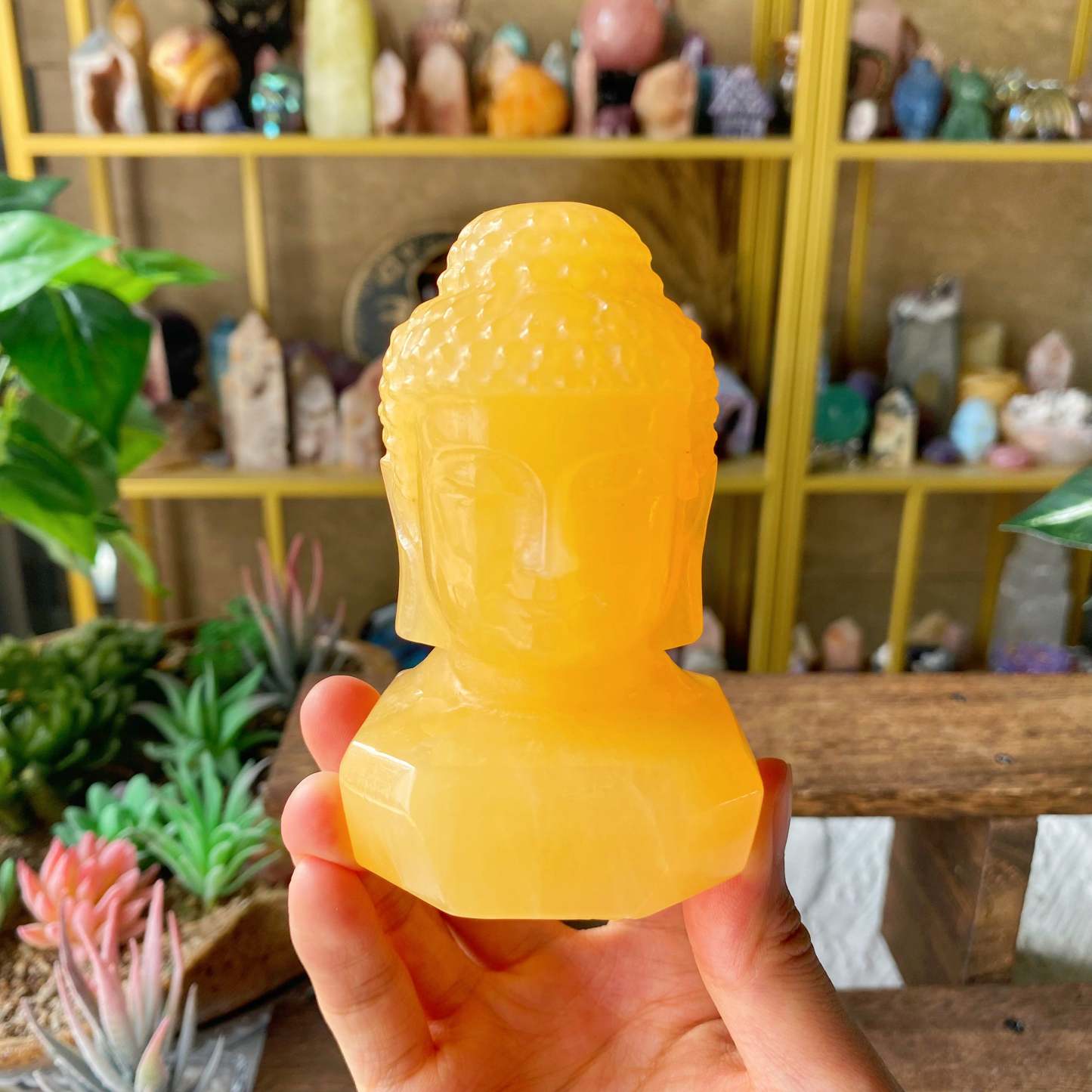 【Weekly Flash Deals】Carving 105