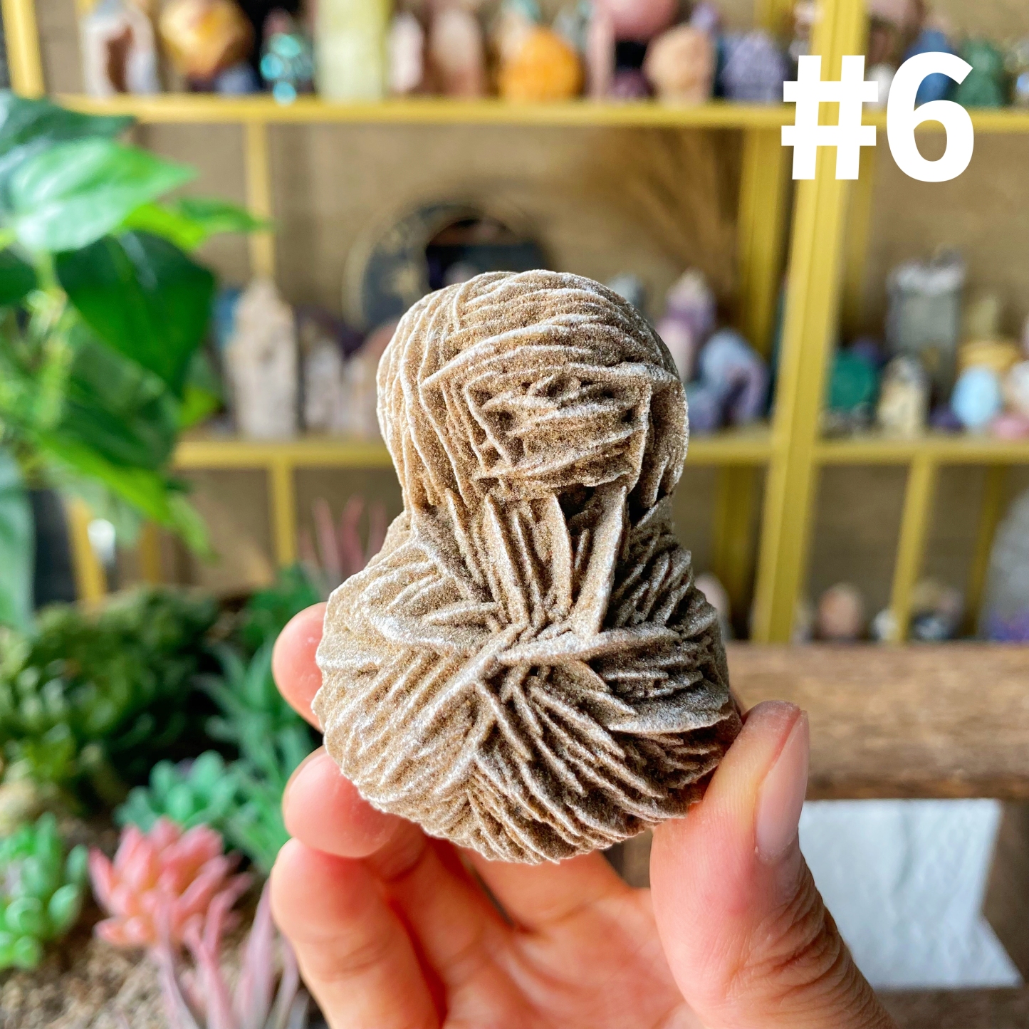 【Weekly Flash Deals】Desert Rose Specimen