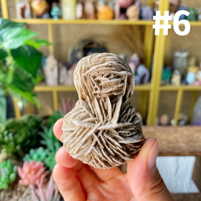 【Weekly Flash Deals】Desert Rose Specimen