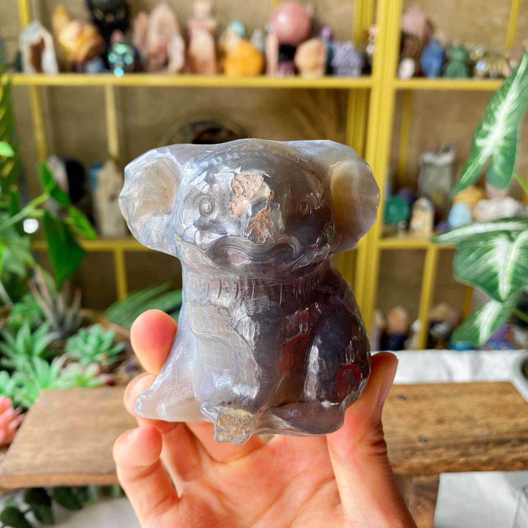 【Weekly Flash Deals】Carving 111