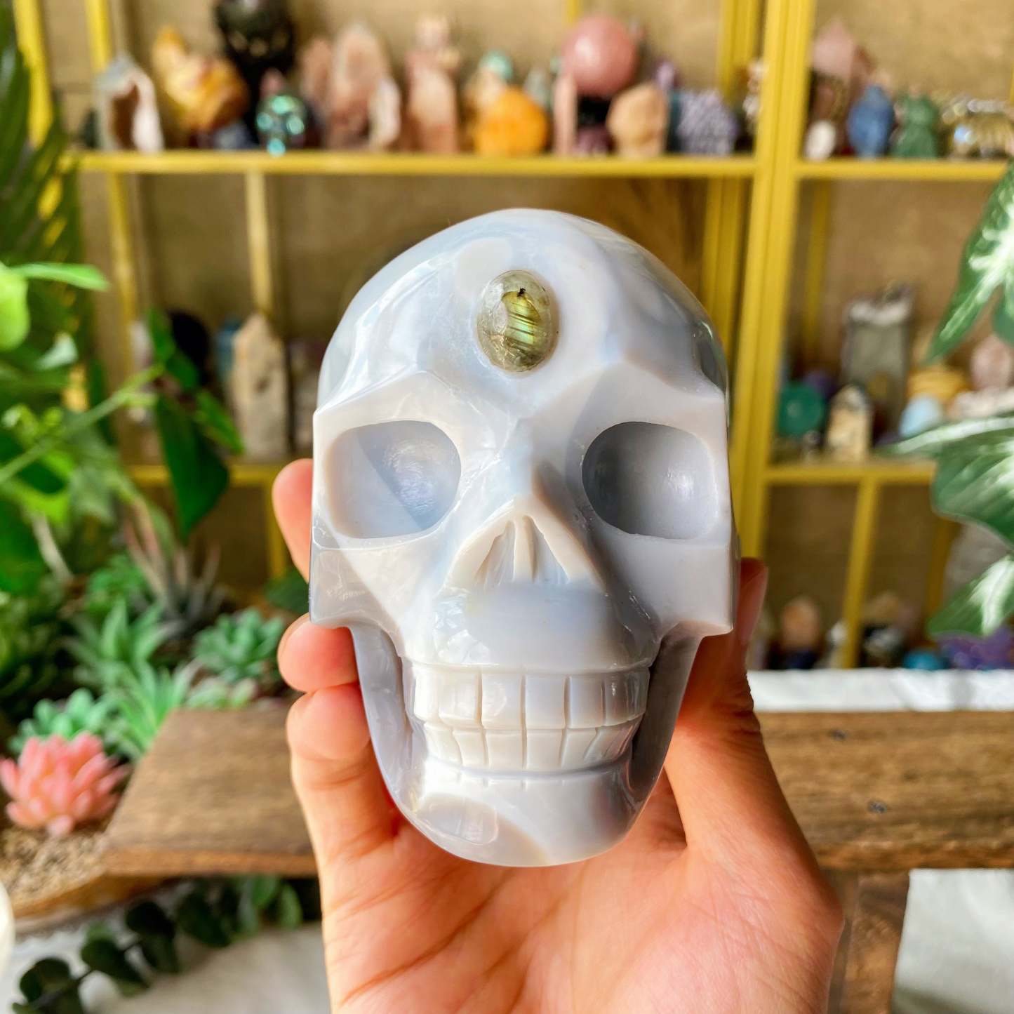 【Weekly Flash Deals】Carving 110