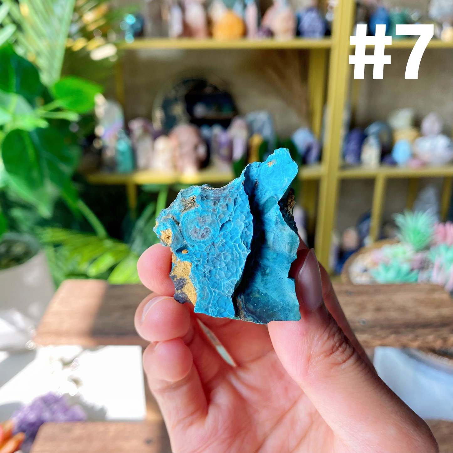 【Weekly Flash Deals】Chrysocolla Specimen