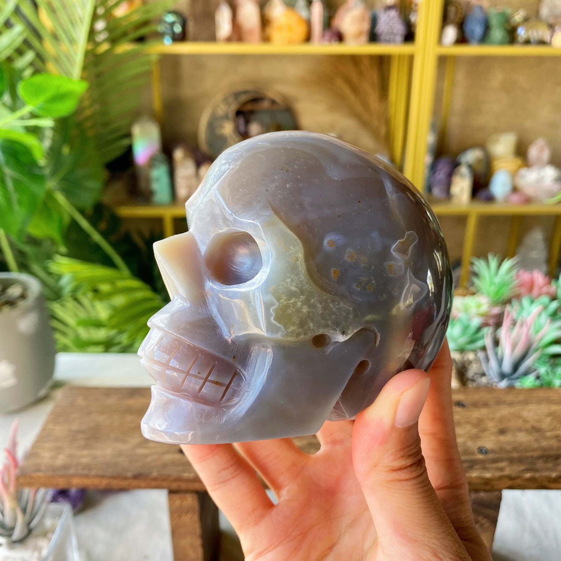 【Weekly Flash Deals】Carving 116