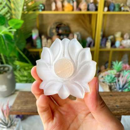 【Weekly Flash Deals】Carving 116