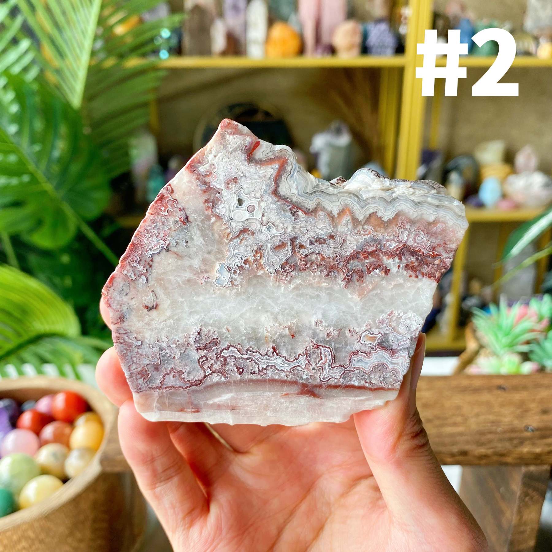 【Weekly Flash Deals】Mexico Sardonyx Slice