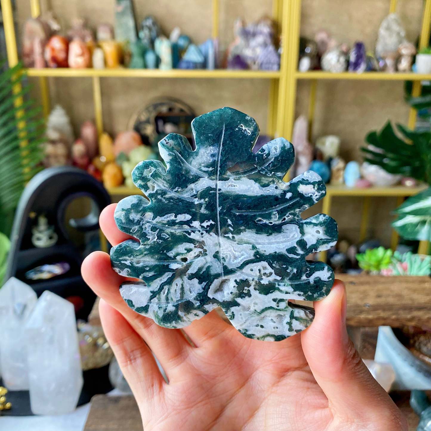 【Weekly Flash Deals】Carving 126