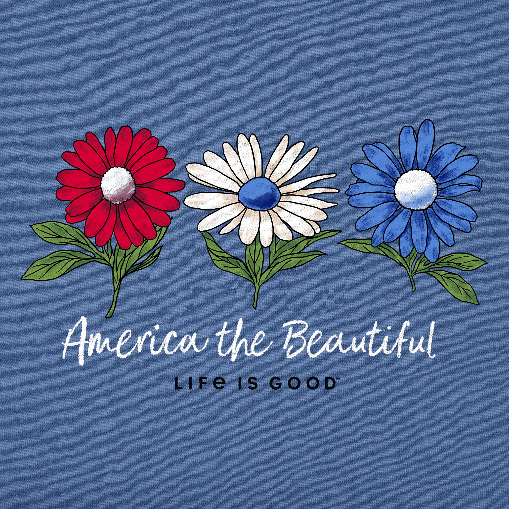Women's America the Beautiful Daisies Short Sleeve Vee