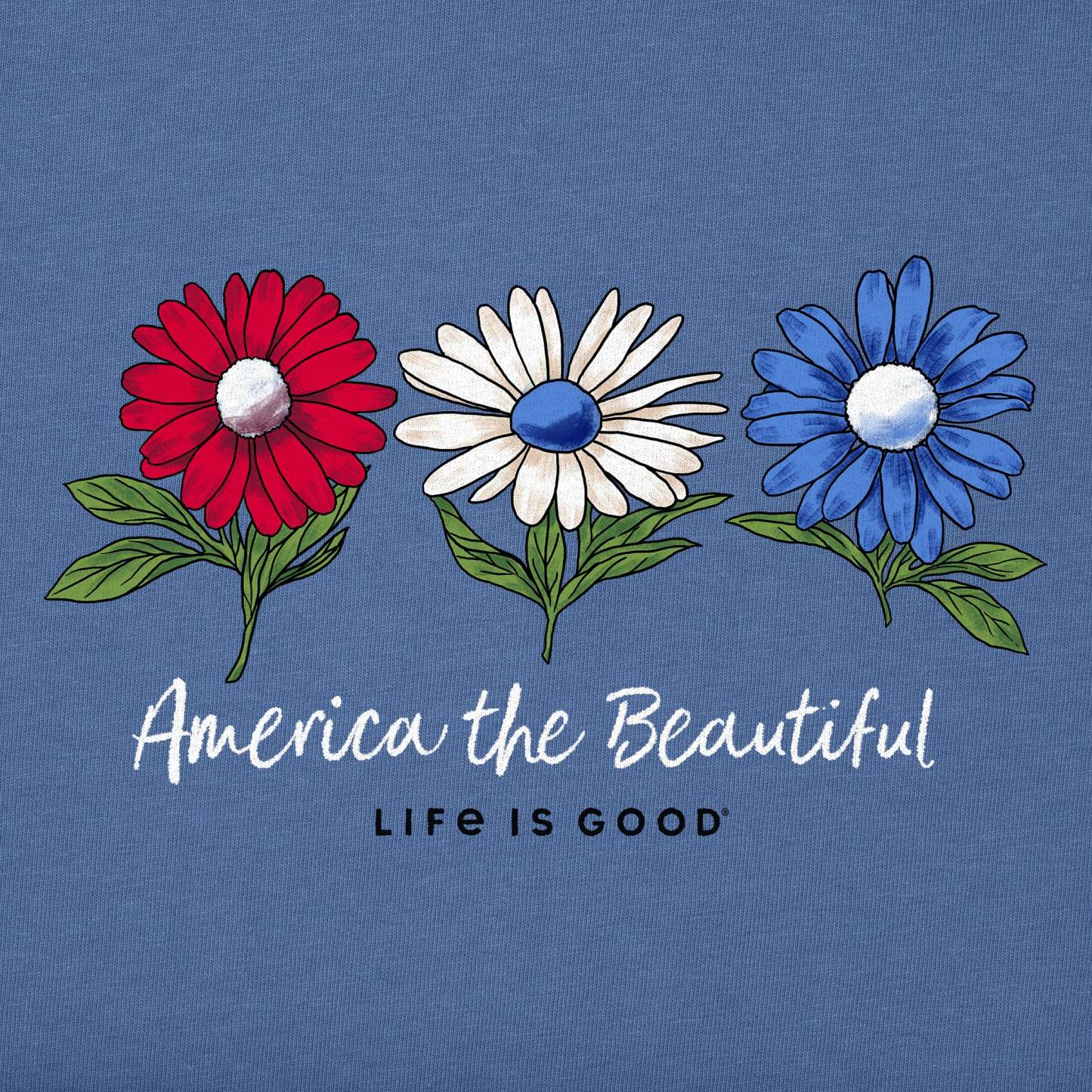 Women's America the Beautiful Daisies Short Sleeve Vee