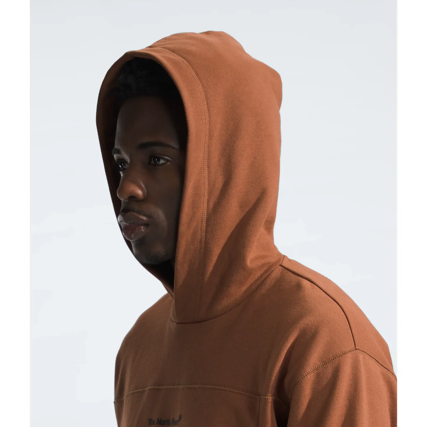 The Nokhjgrth Face-2025 Men's Axys Hoodie in Stone Brown