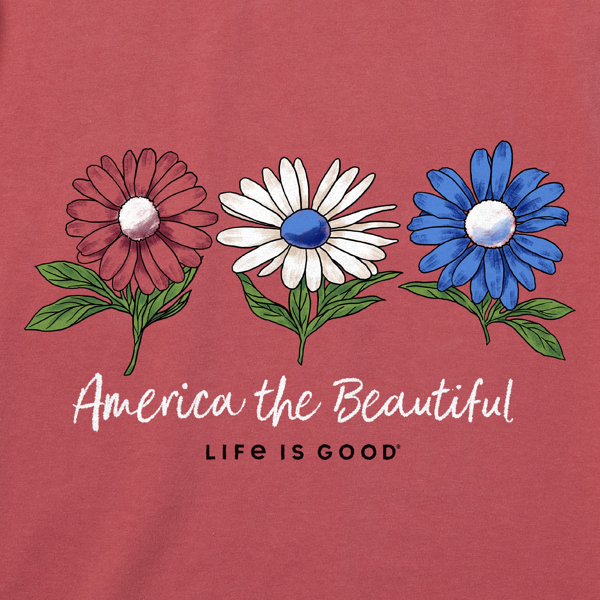 Women's America the Beautiful Daisies Short Sleeve Vee