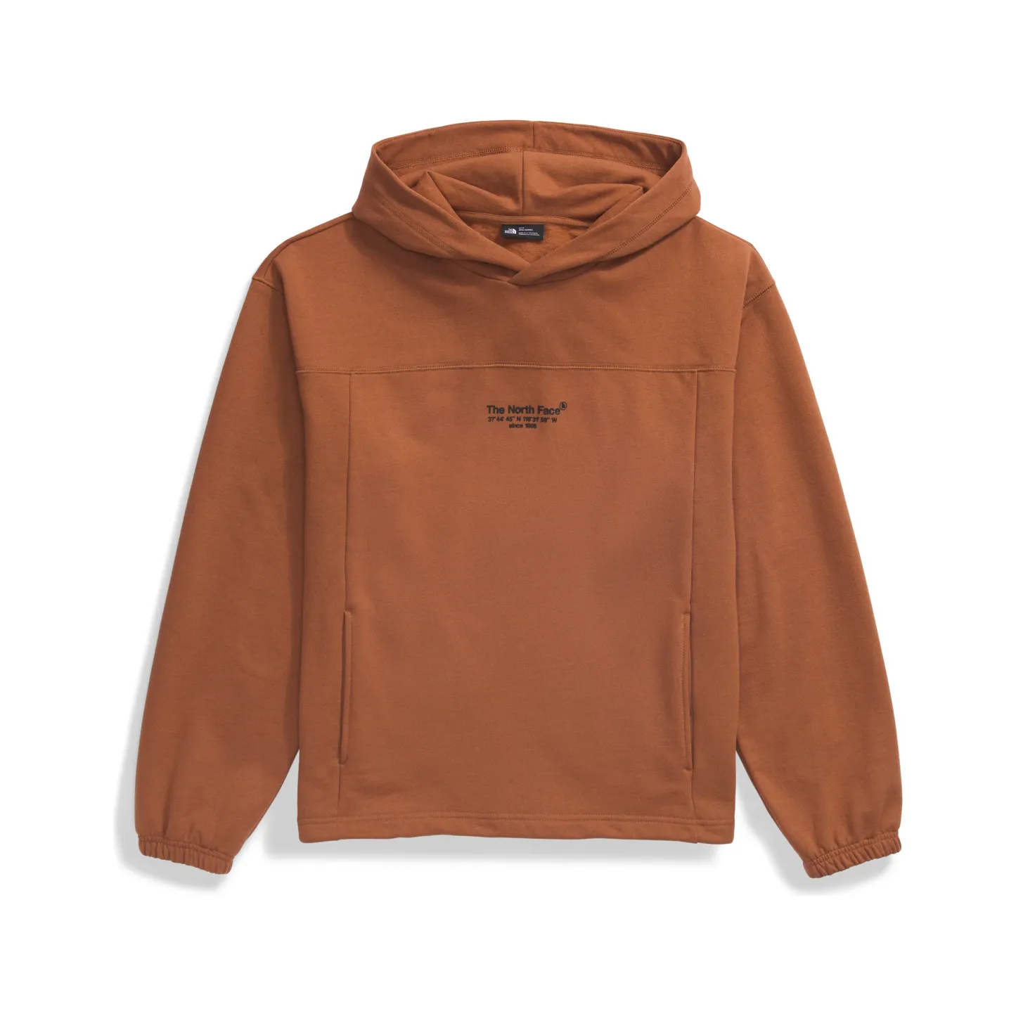 The Nokhjgrth Face-2025 Men's Axys Hoodie in Stone Brown
