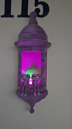 🎁Last Day Promotion 49% OFF✨Puerto Rican Garita Wall Coqui Lamp