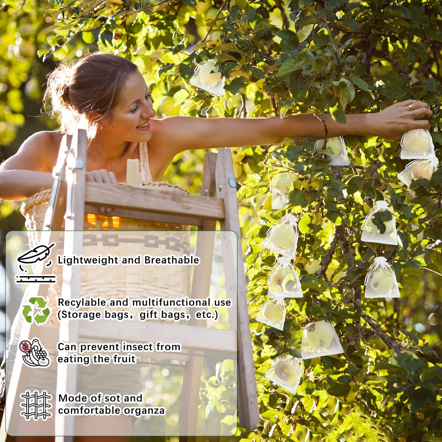 🔥Fruit Protection Bags