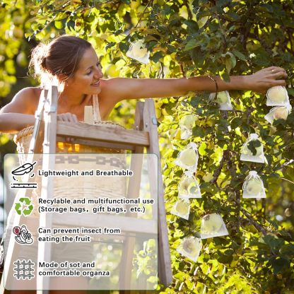 🔥Fruit Protection Bags