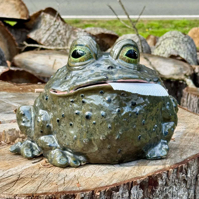 Funny Toad Tissue Holder